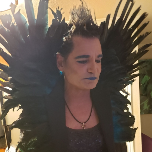 Black Feather Wings - Picture 3 of 4